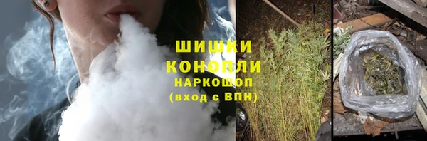 хмурый Дмитриев