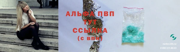 ПСИЛОЦИБИНОВЫЕ ГРИБЫ Нестеровская