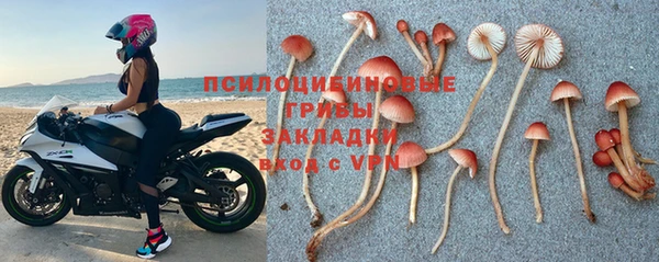 бутират Нязепетровск