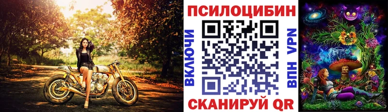 купить наркотик  Северобайкальск  Галлюциногенные грибы мухоморы 