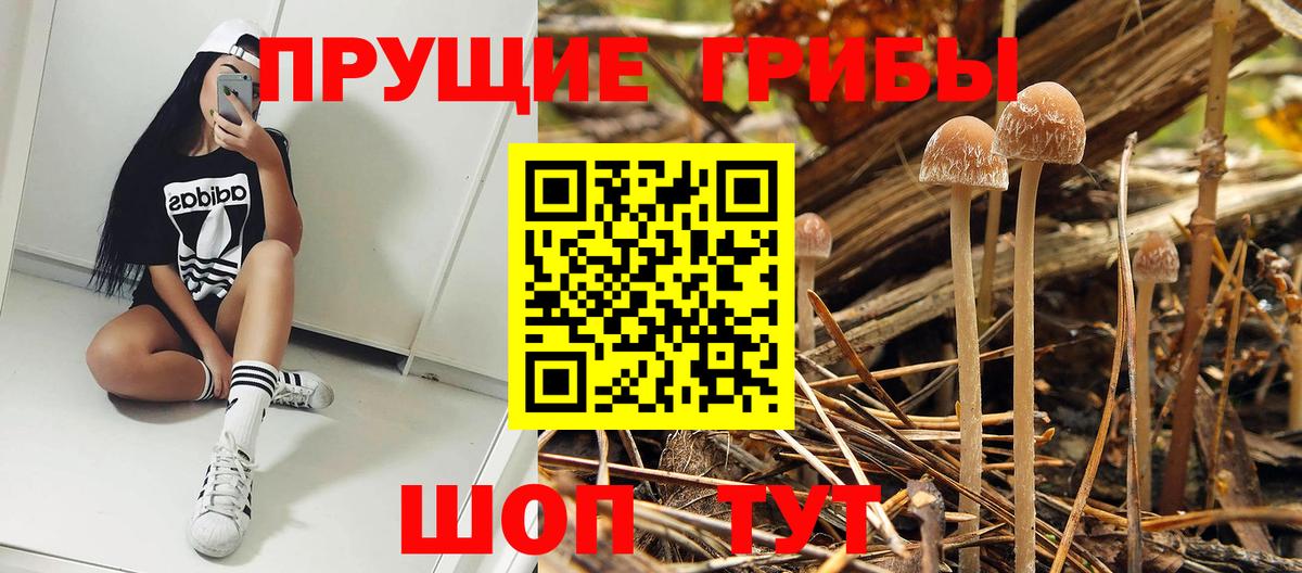 Галлюциногенные грибы MAGIC MUSHROOMS Северобайкальск